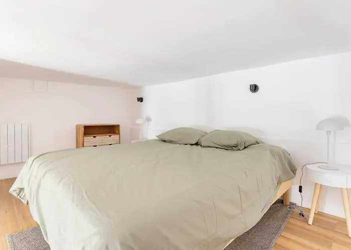 Lille Bel Appartement Cosy Avec Mezzanine